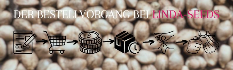 Der Bestellvorgang bei Linda-Seeds Der Bestellvorgang bei Linda-Seeds